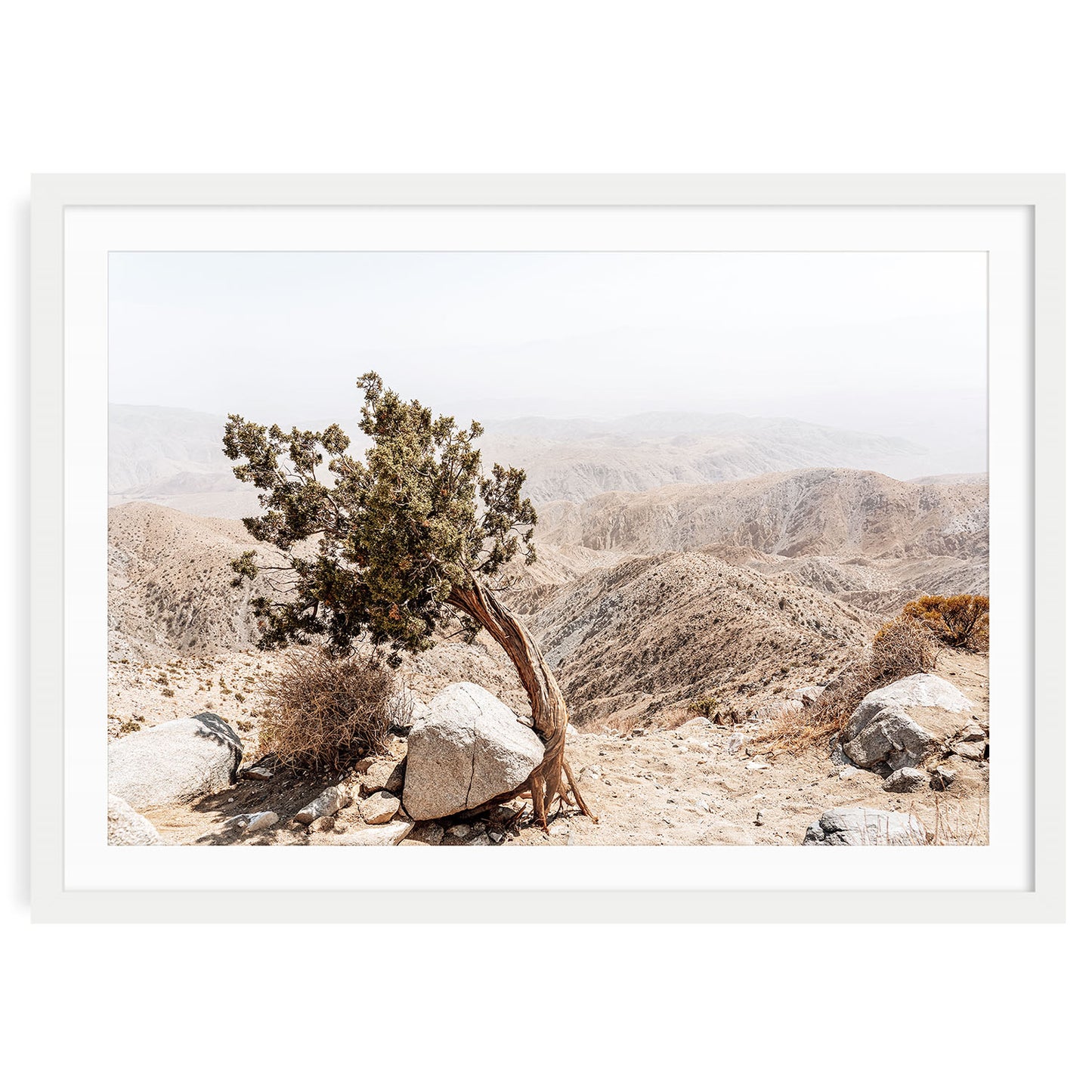 Neutral-toned Joshua Tree landscape in desert light, minimalist boho fine art print for beige wall decor or modern rustic interiors.