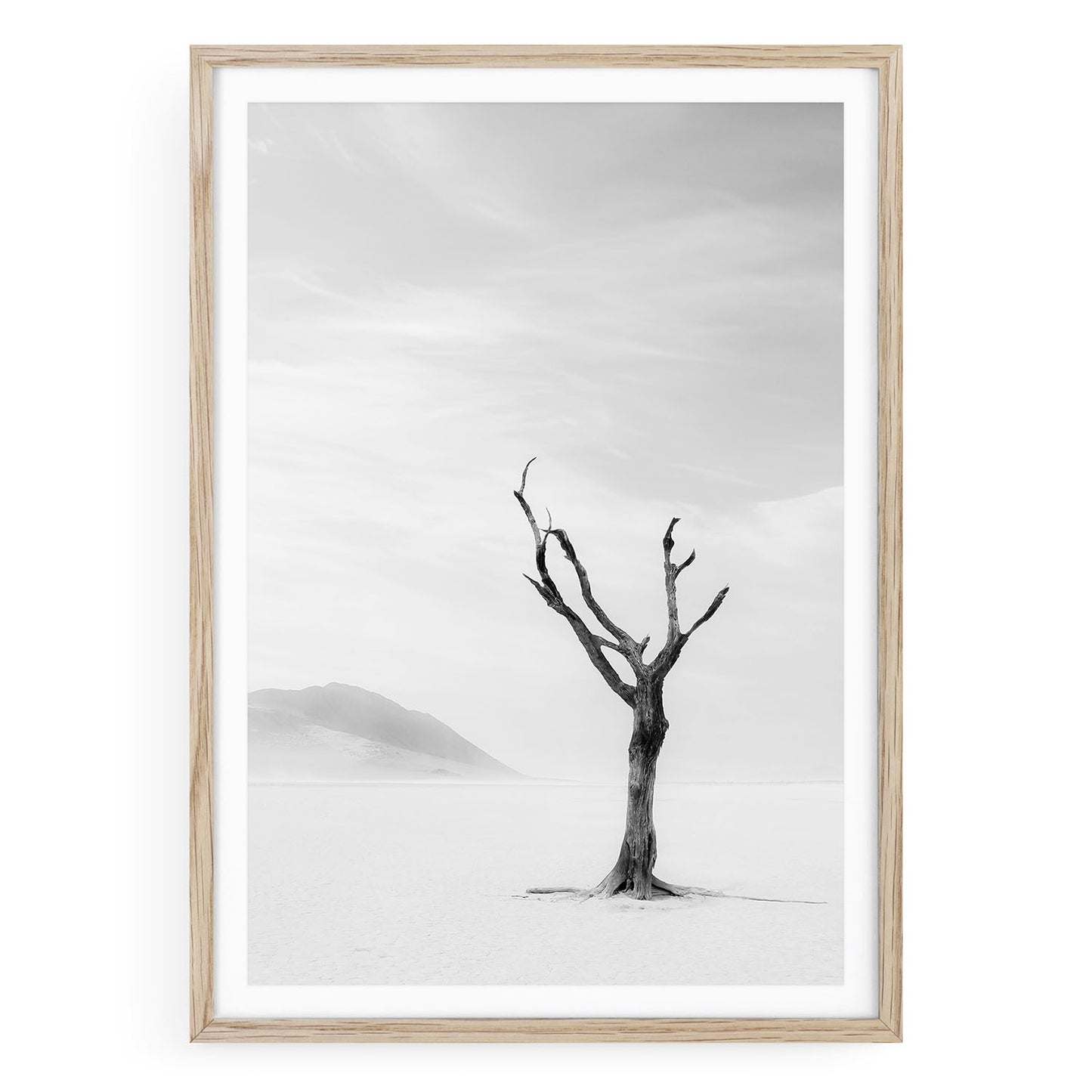 Black and white fine art photo of a single desert tree standing in sand with soft shadows and open sky creating a minimalist and tranquil atmosphere
