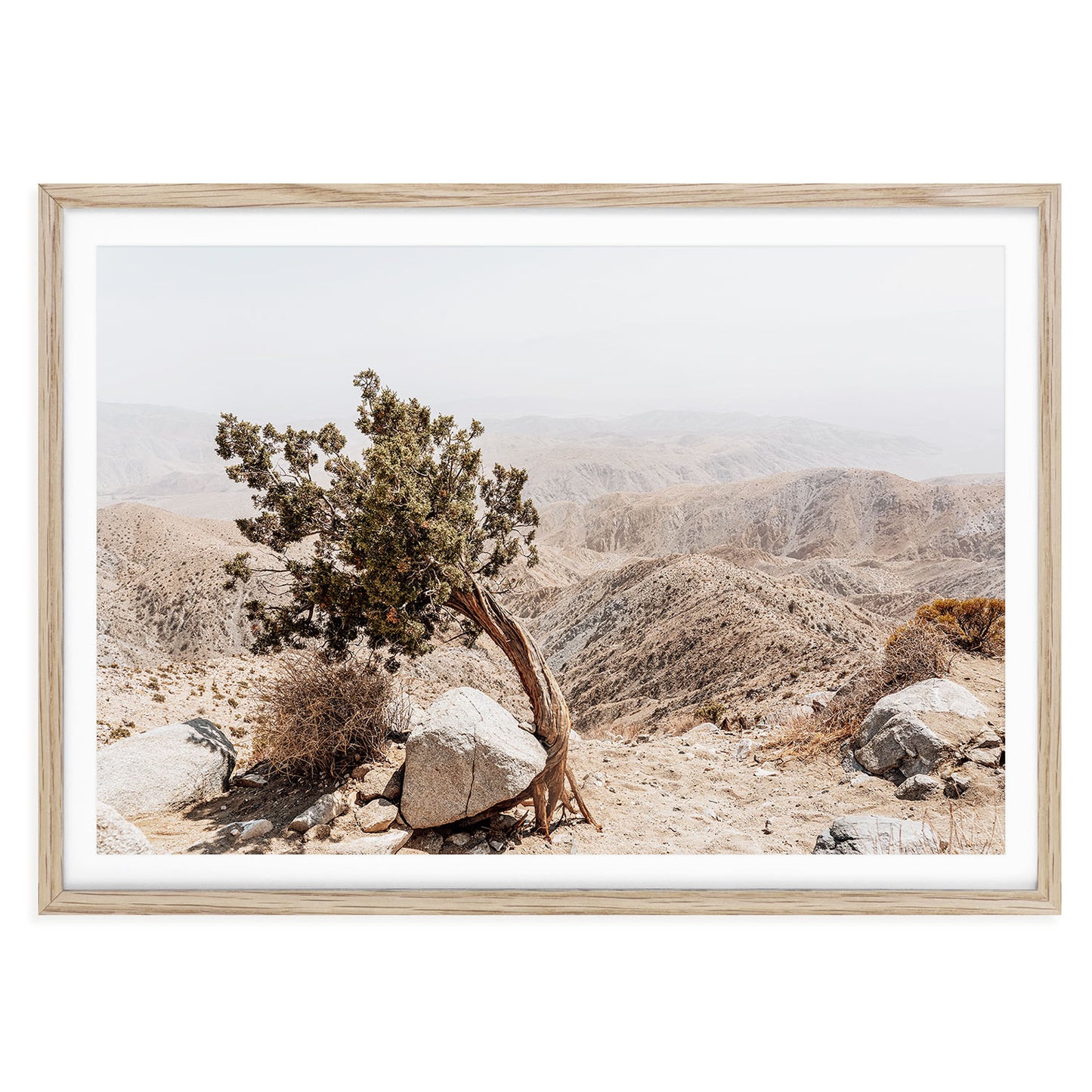 Neutral-toned Joshua Tree landscape in desert light, minimalist boho fine art print for beige wall decor or modern rustic interiors.