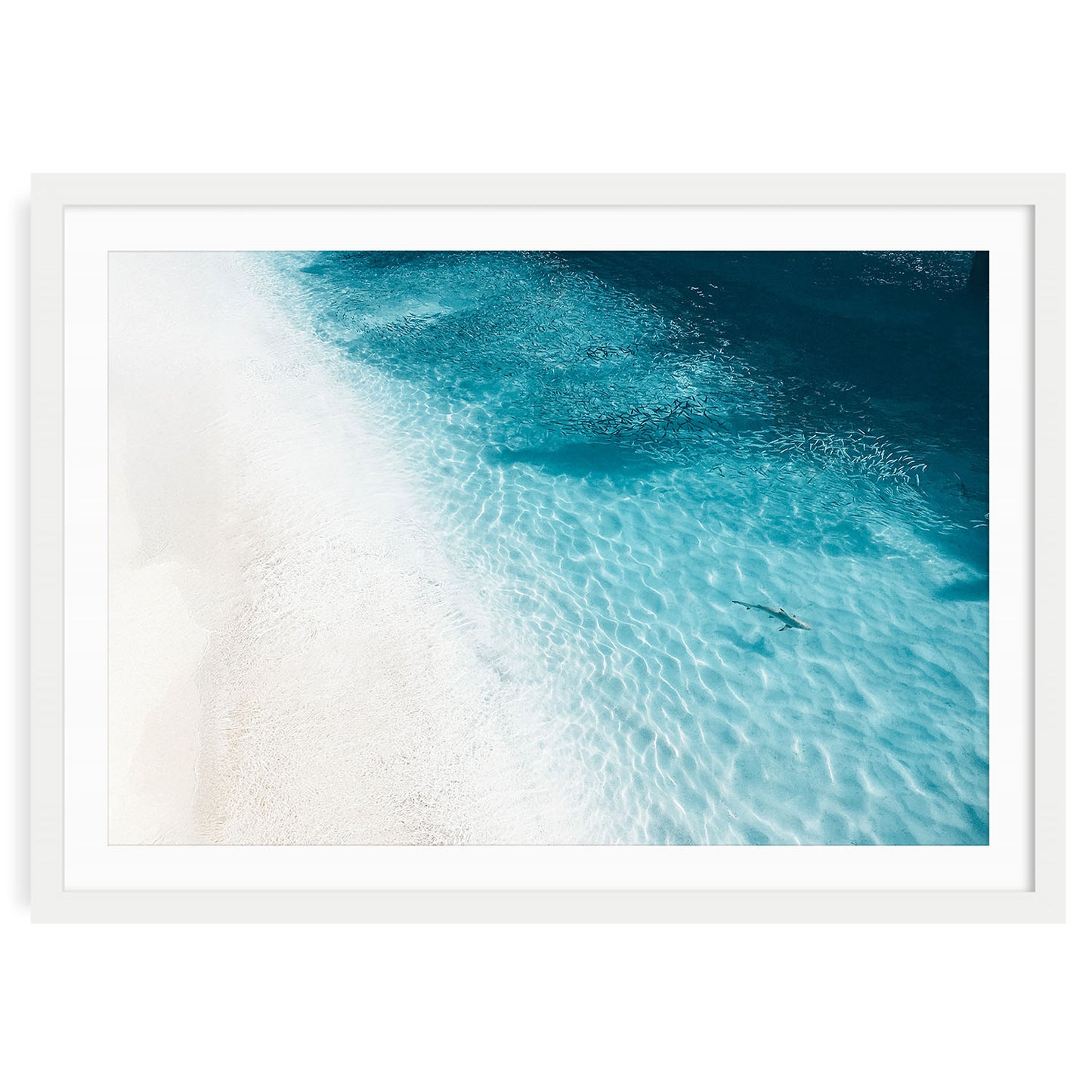 Aerial ocean photograph featuring a single shark swimming in clear turquoise tropical waters, viewed from above, with soft wave textures and coastal tones perfect for serene beach house wall art.