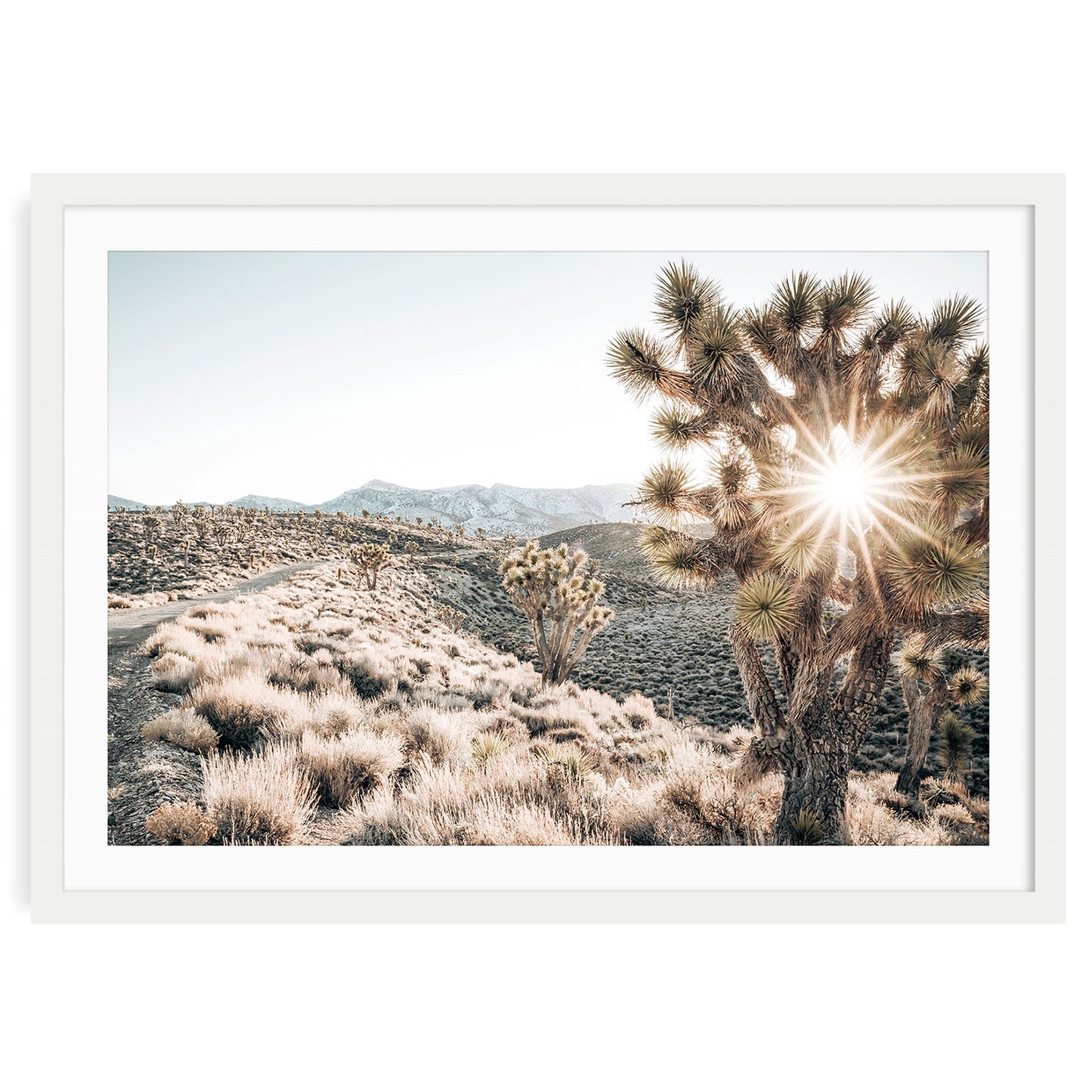 Framed Joshua Tree photo print featuring a muted desert landscape with soft earthy tones, perfect for modern western or boho home decor