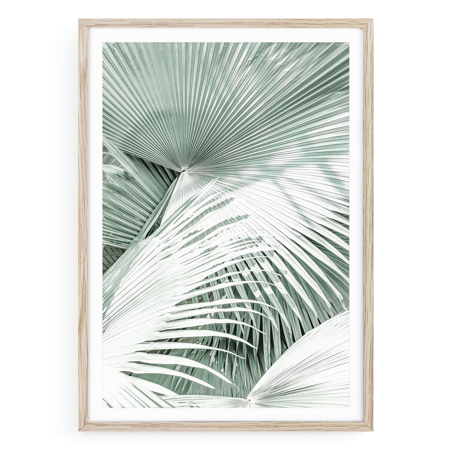 Framed boho palm tree wall art featuring soft mint green tones and tropical foliage in a minimalist coastal photography style, perfect for beach decor.