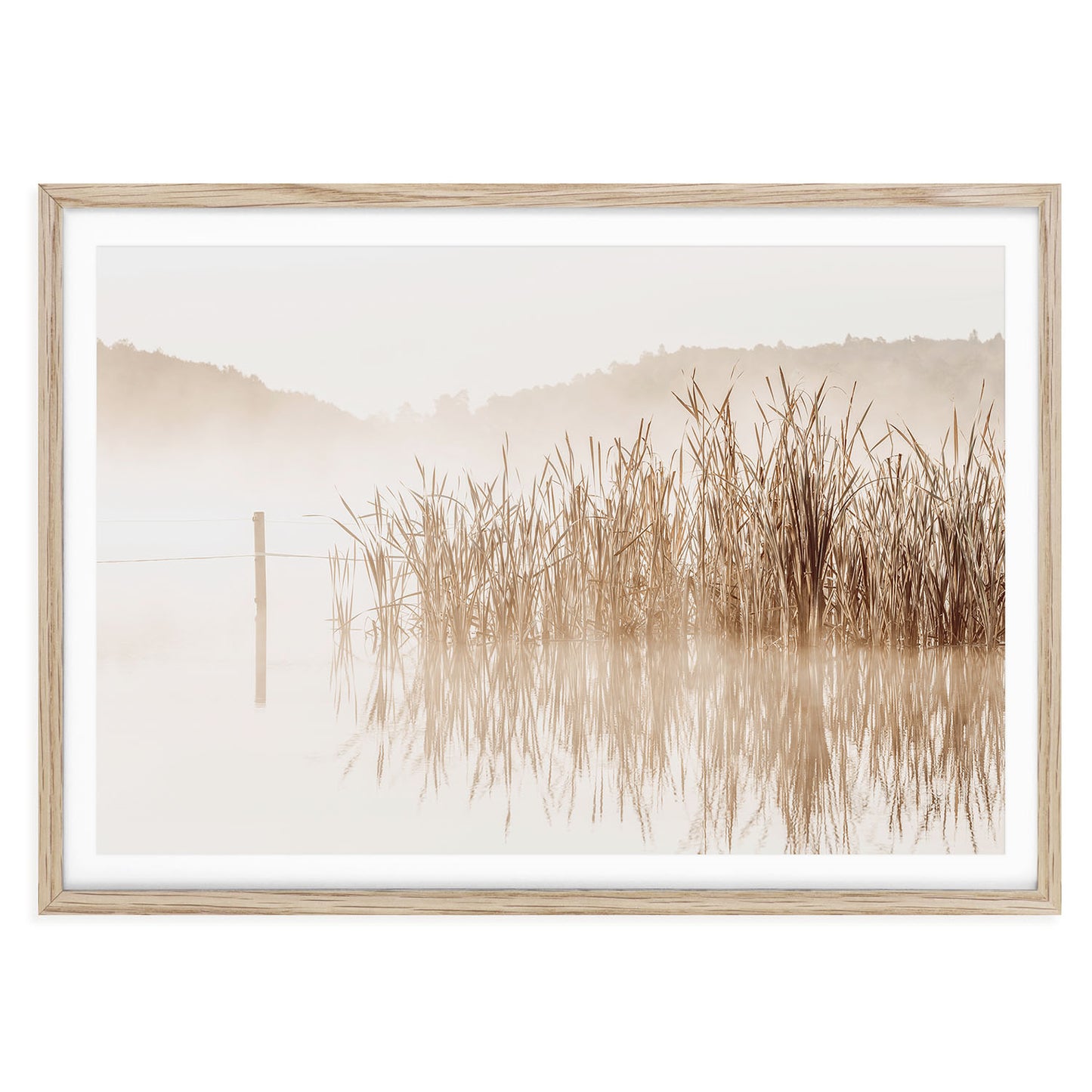 Fine art photography print of beige water reeds by a calm lake, featuring neutral tones and soft light. Perfect for minimalist, nature-inspired home decor.