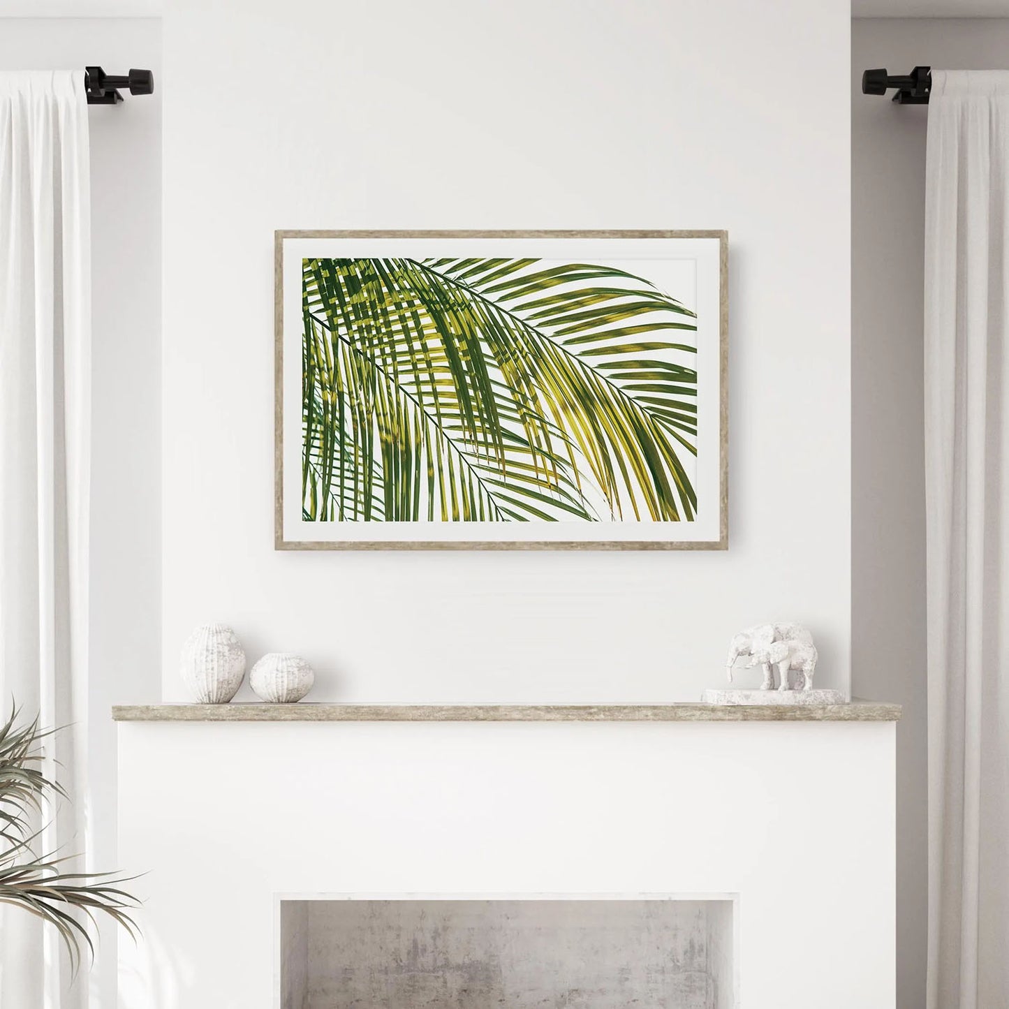 TROPIC CALM
