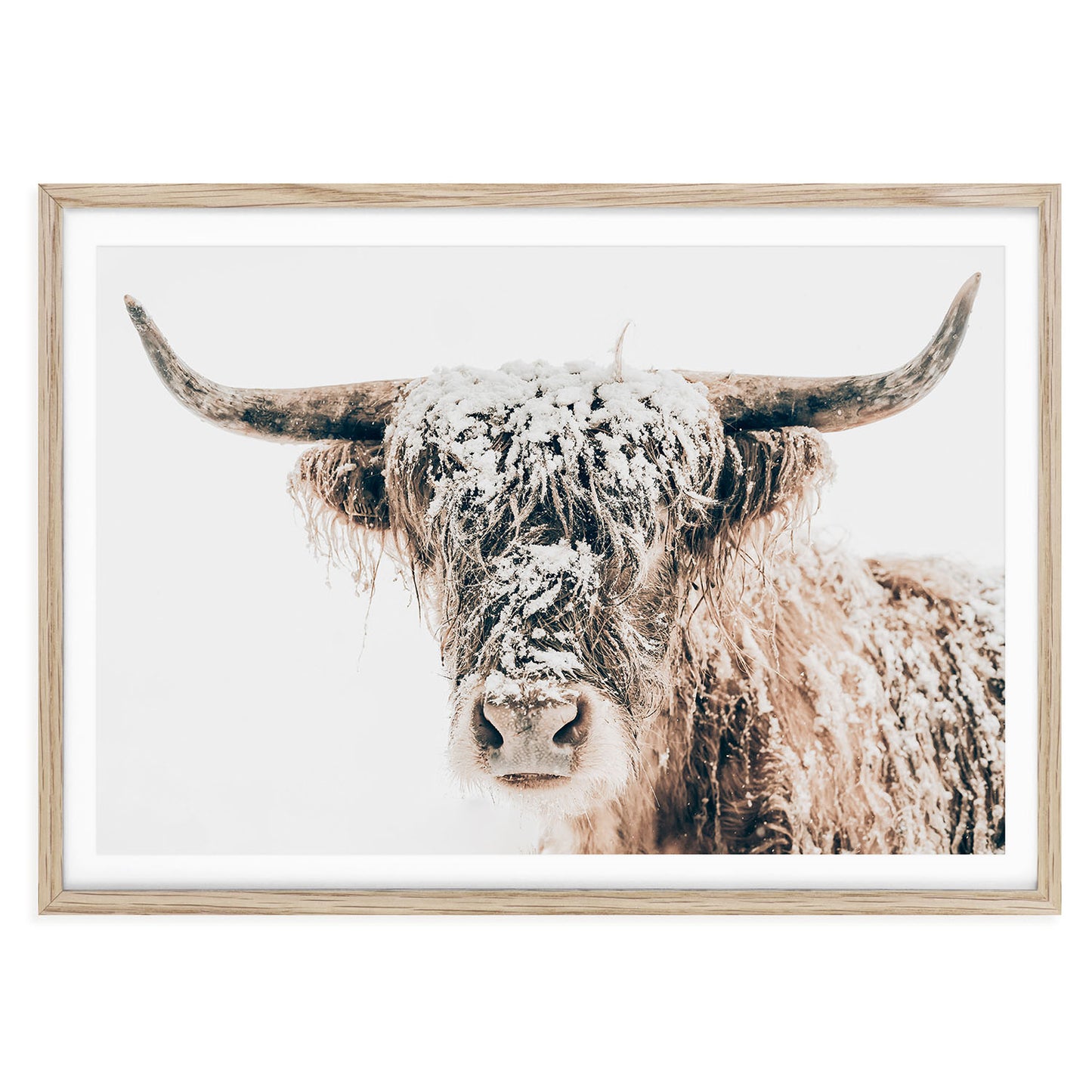 Framed horizontal Highland cow wall art print in neutral brown tones with rustic winter background, ideal for farmhouse or cozy country-style living rooms