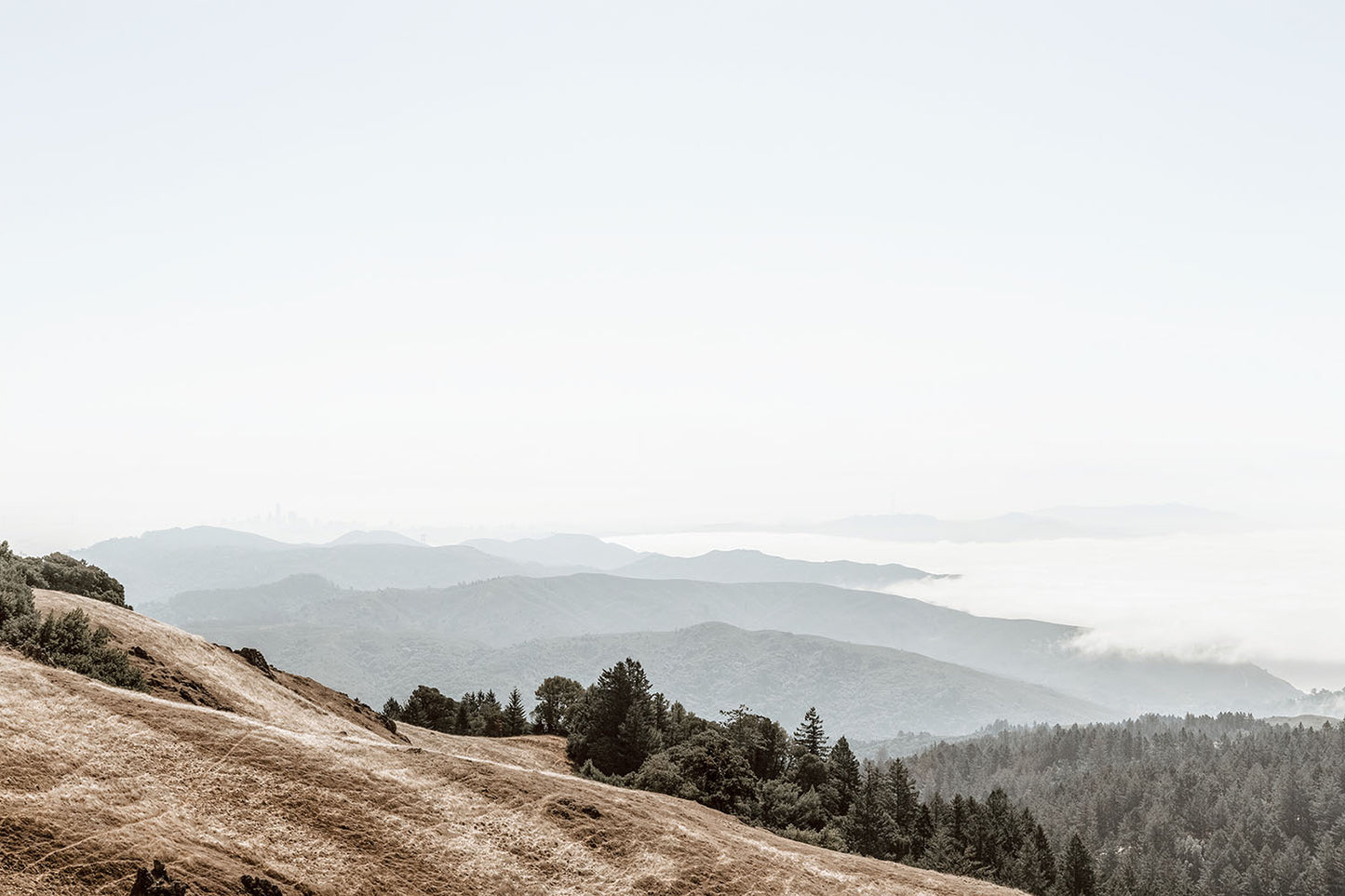 MOUNT TAMALPAIS