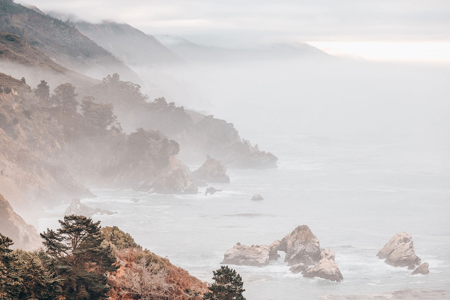 COASTAL MIST
