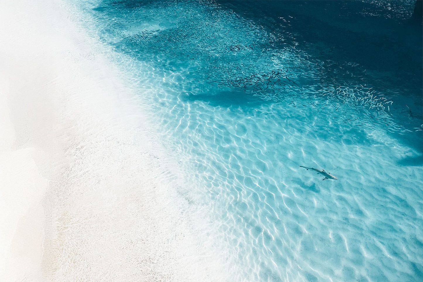 OCEAN DRIFT