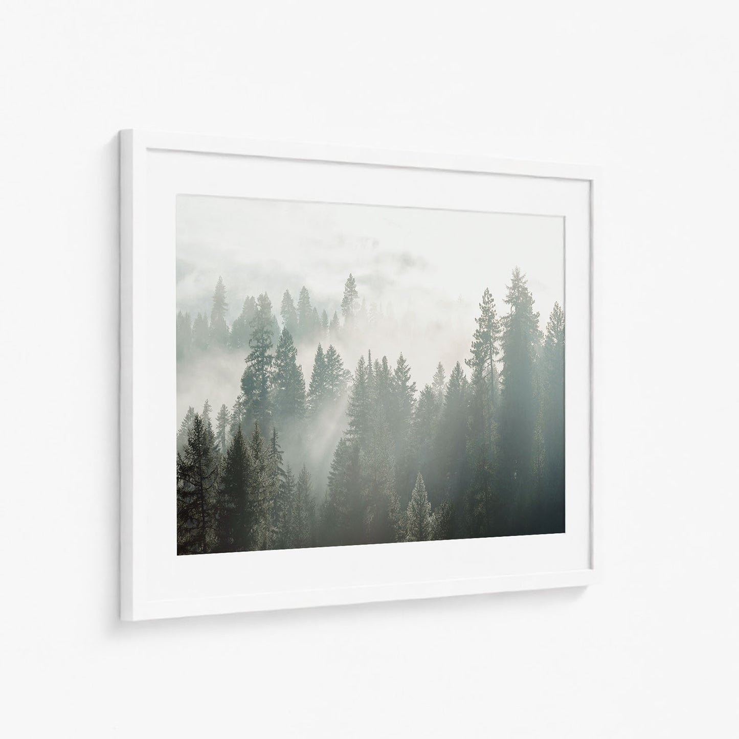 SILENT WOODS