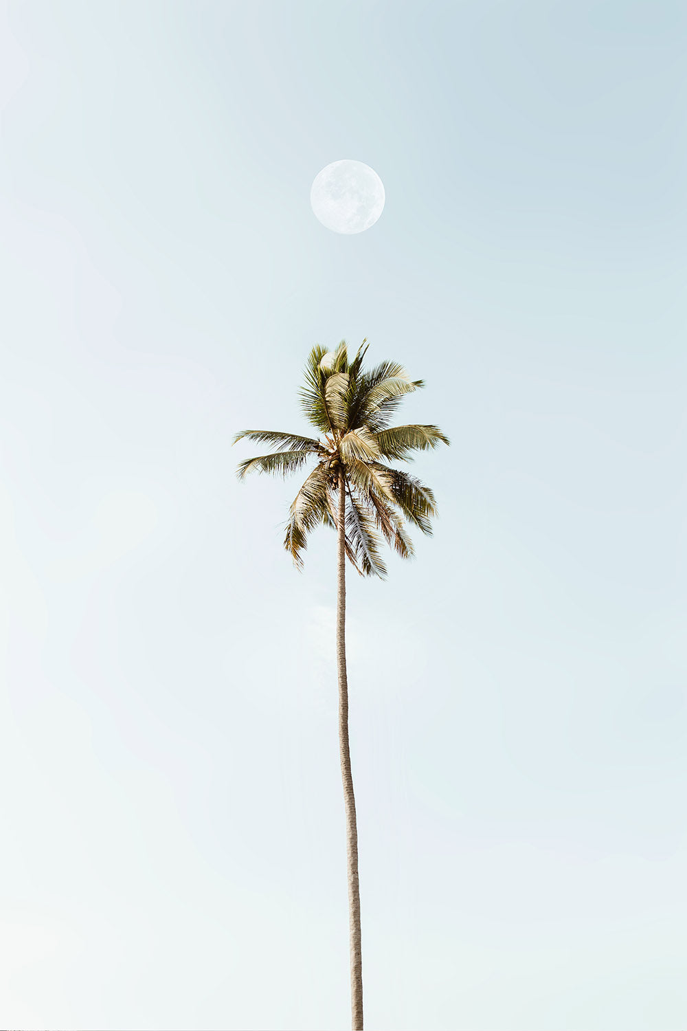 LUNAR