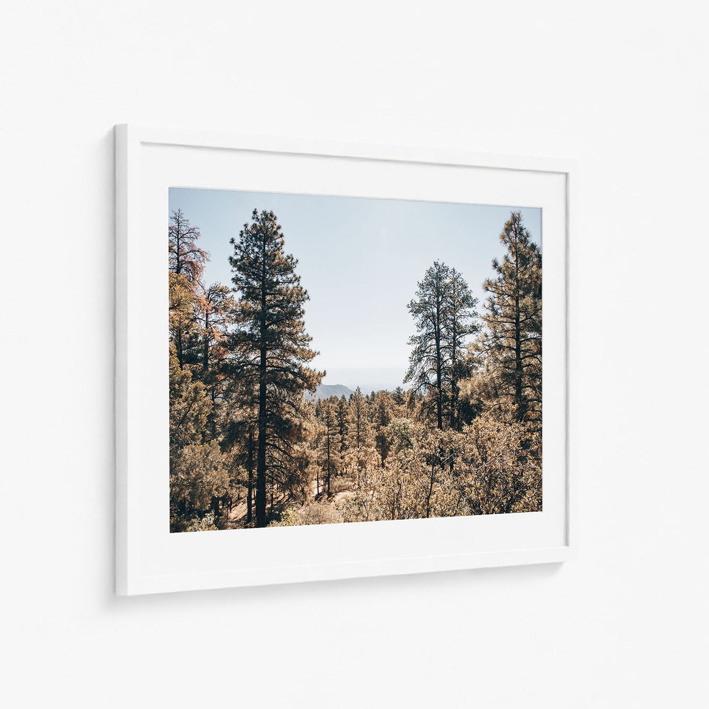 HUALAPAI WOODS