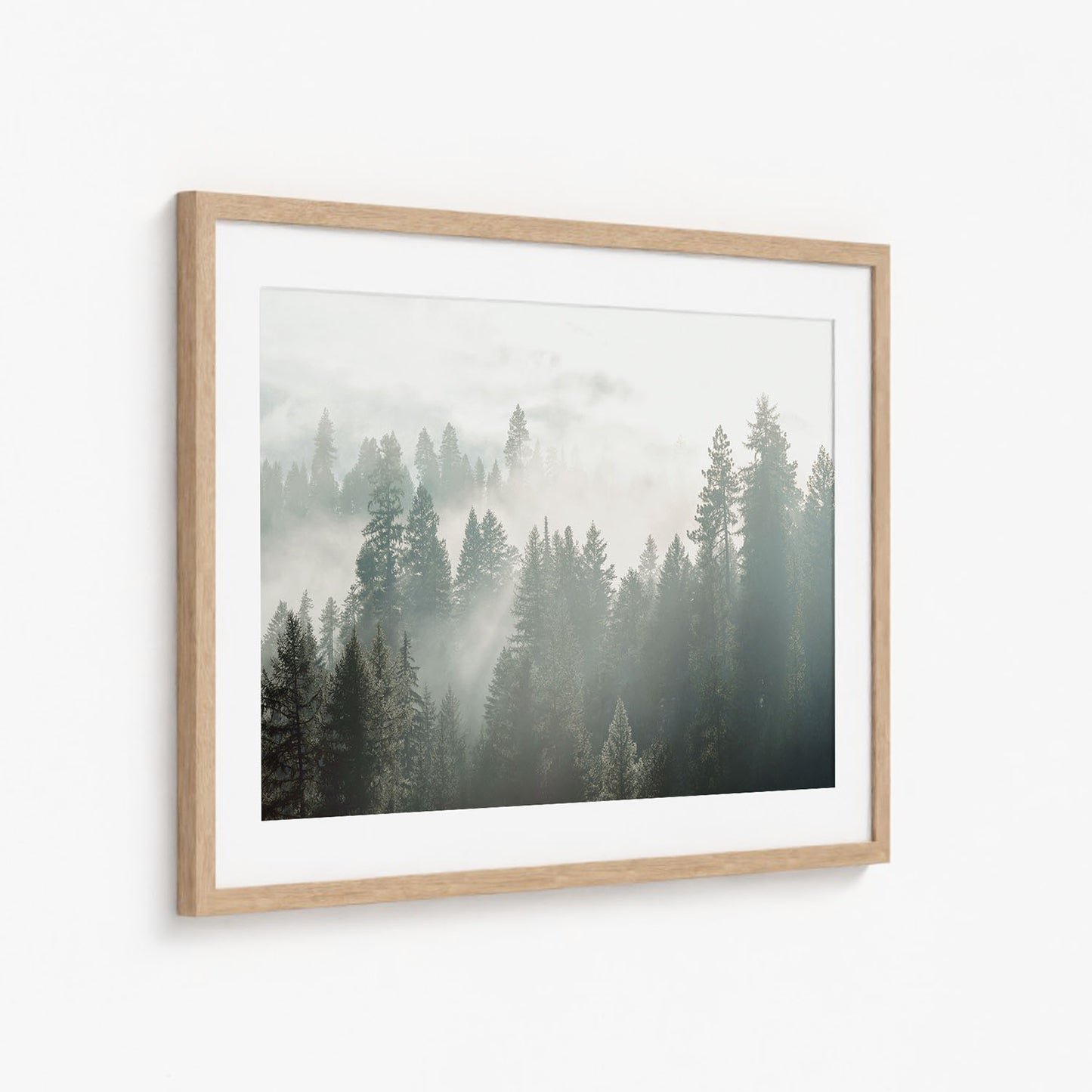 SILENT WOODS