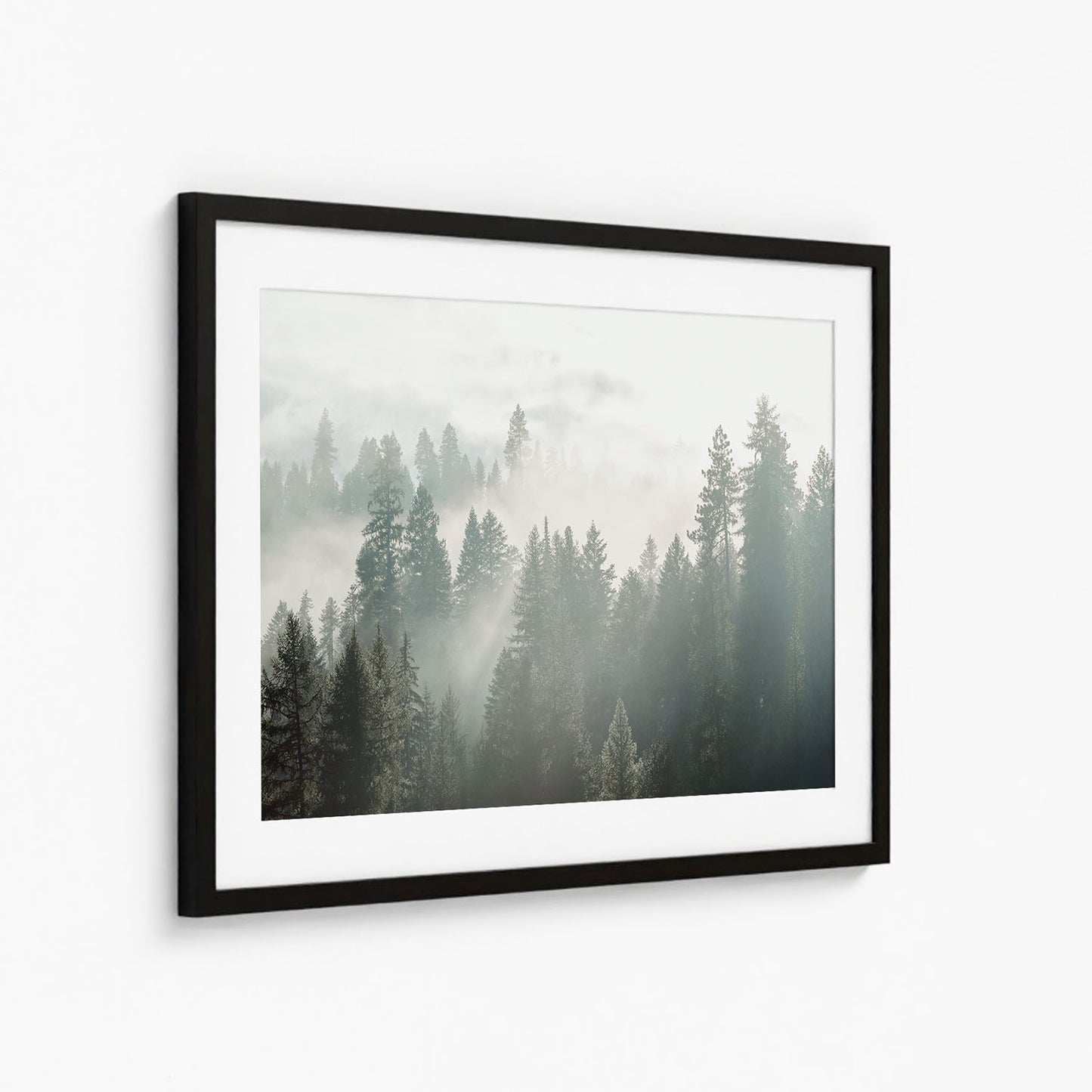 SILENT WOODS