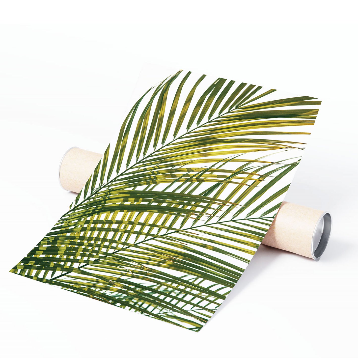 TROPIC CALM