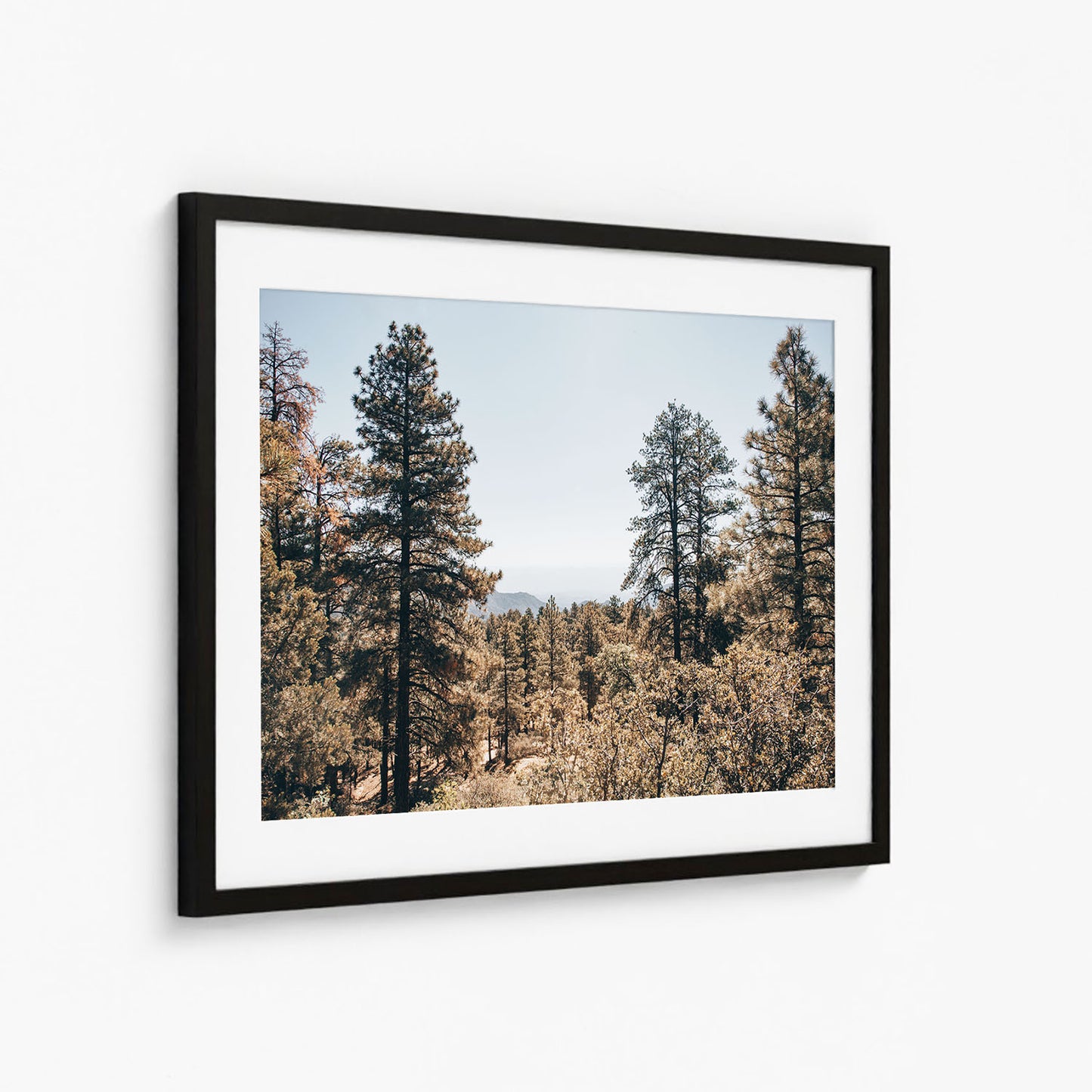 HUALAPAI WOODS