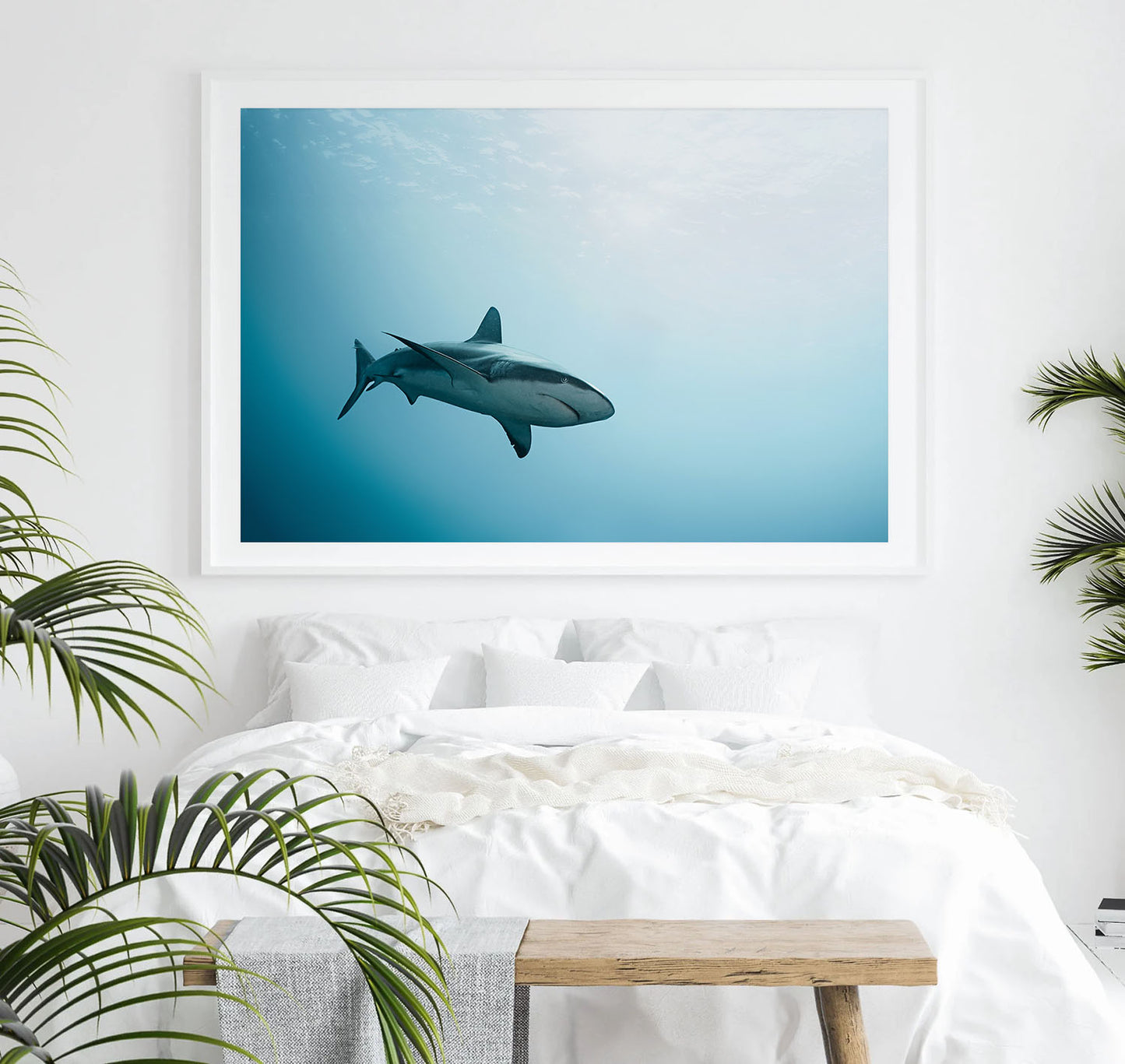 DEEP WATERS