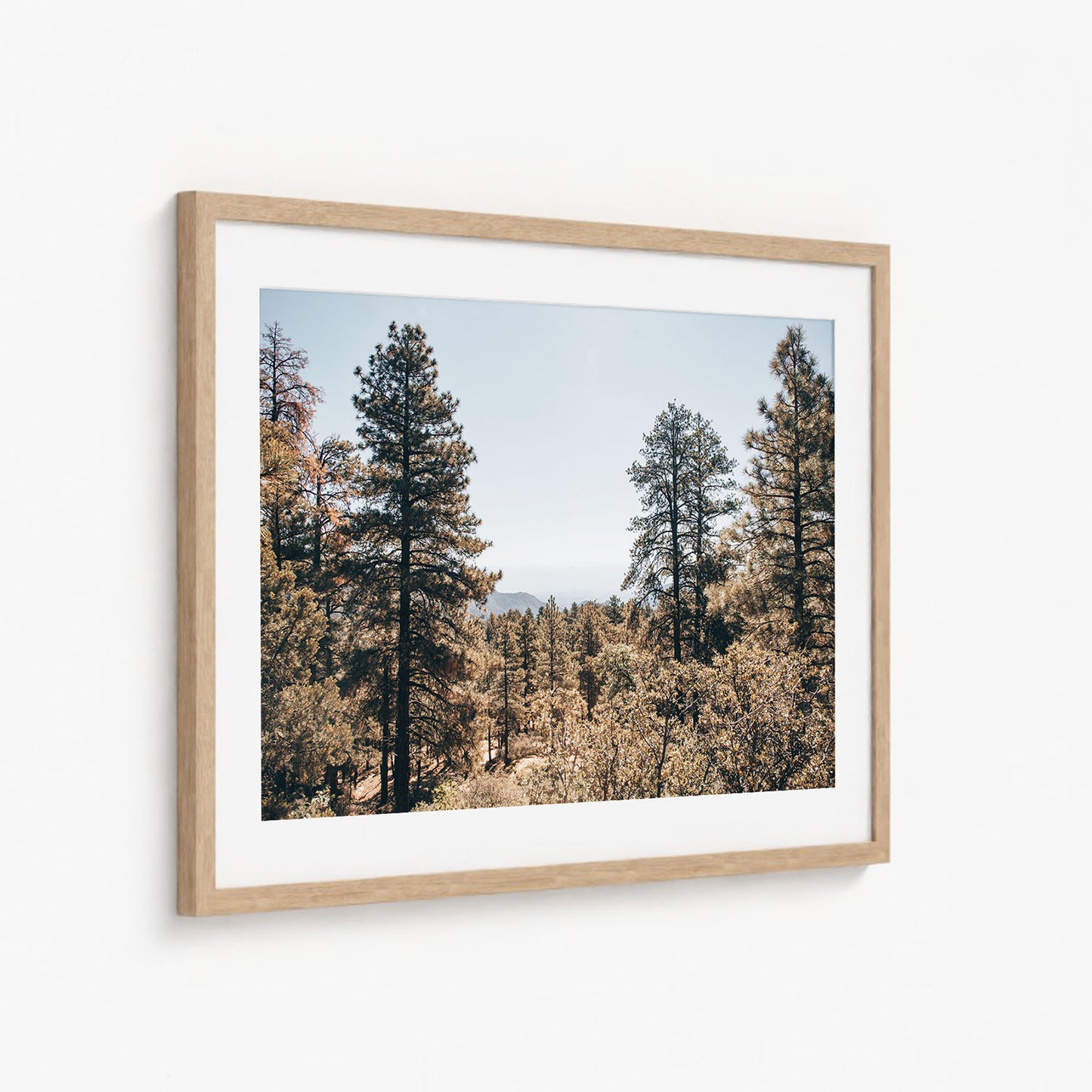 HUALAPAI WOODS