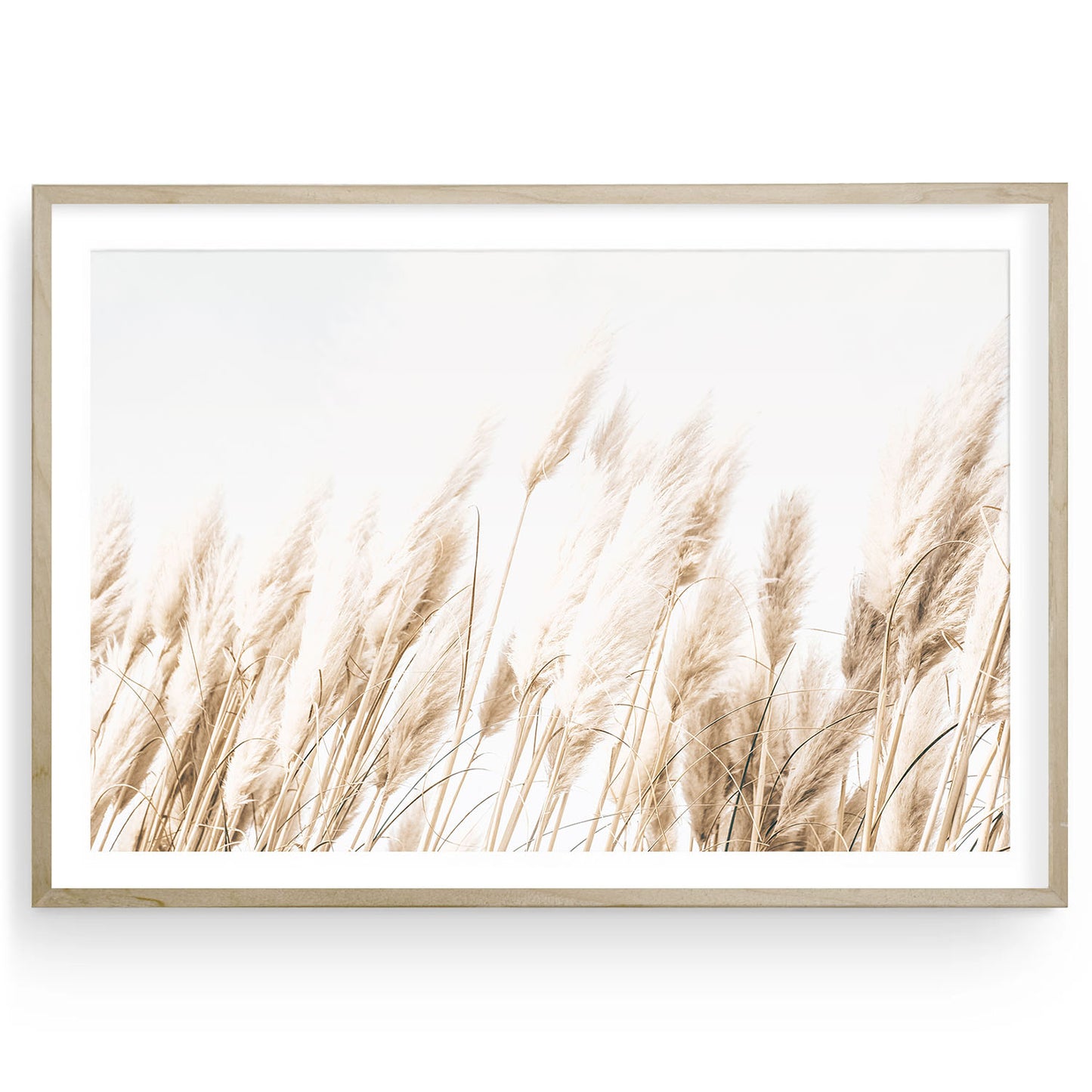 A neutral-toned photograph of gentle beach grasses under natural light, ideal for boho, coastal, and minimalist home decor.