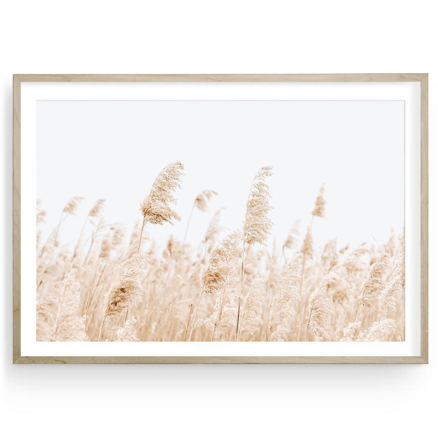 Soft beige pampas grass swaying in the breeze, minimalist coastal wall art in neutral tones, landscape nature photography print for modern living room decor.