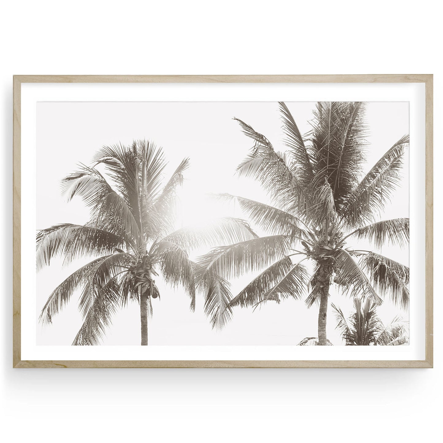 Muted coastal palm tree photo print with minimalist tropical tones, Hawaii-inspired fine art wall decor for modern beach homes, available framed or unframed.