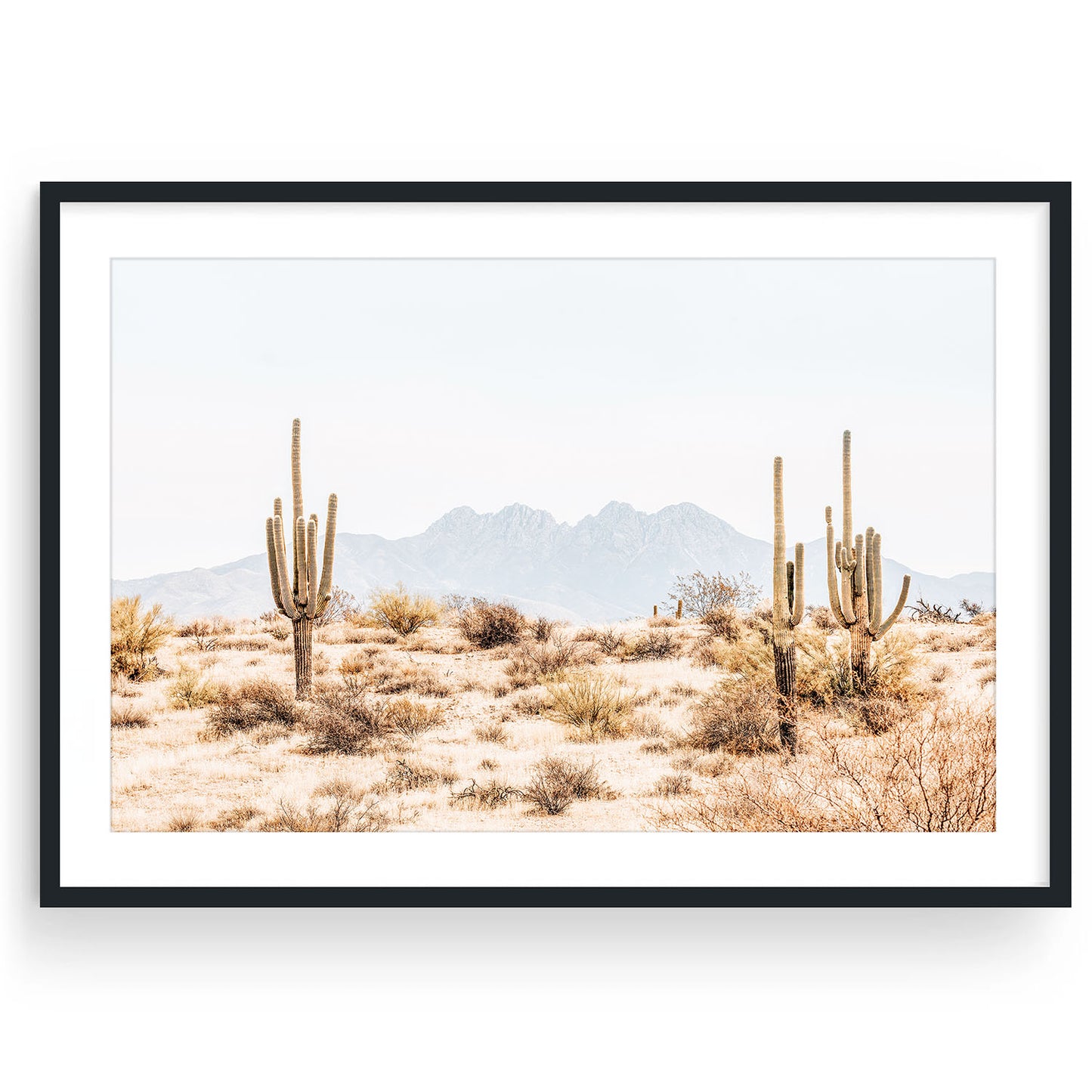 FOUR PEAKS
