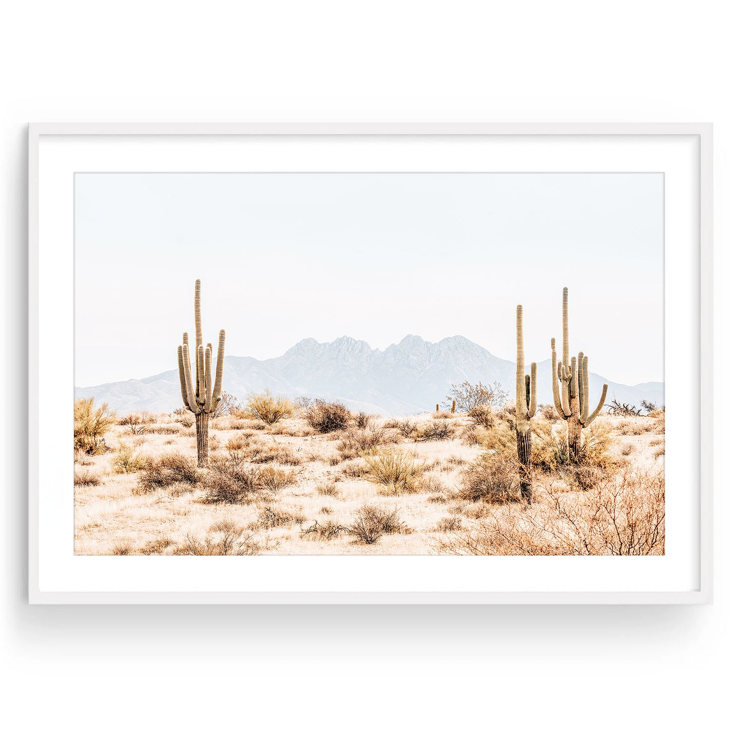 FOUR PEAKS