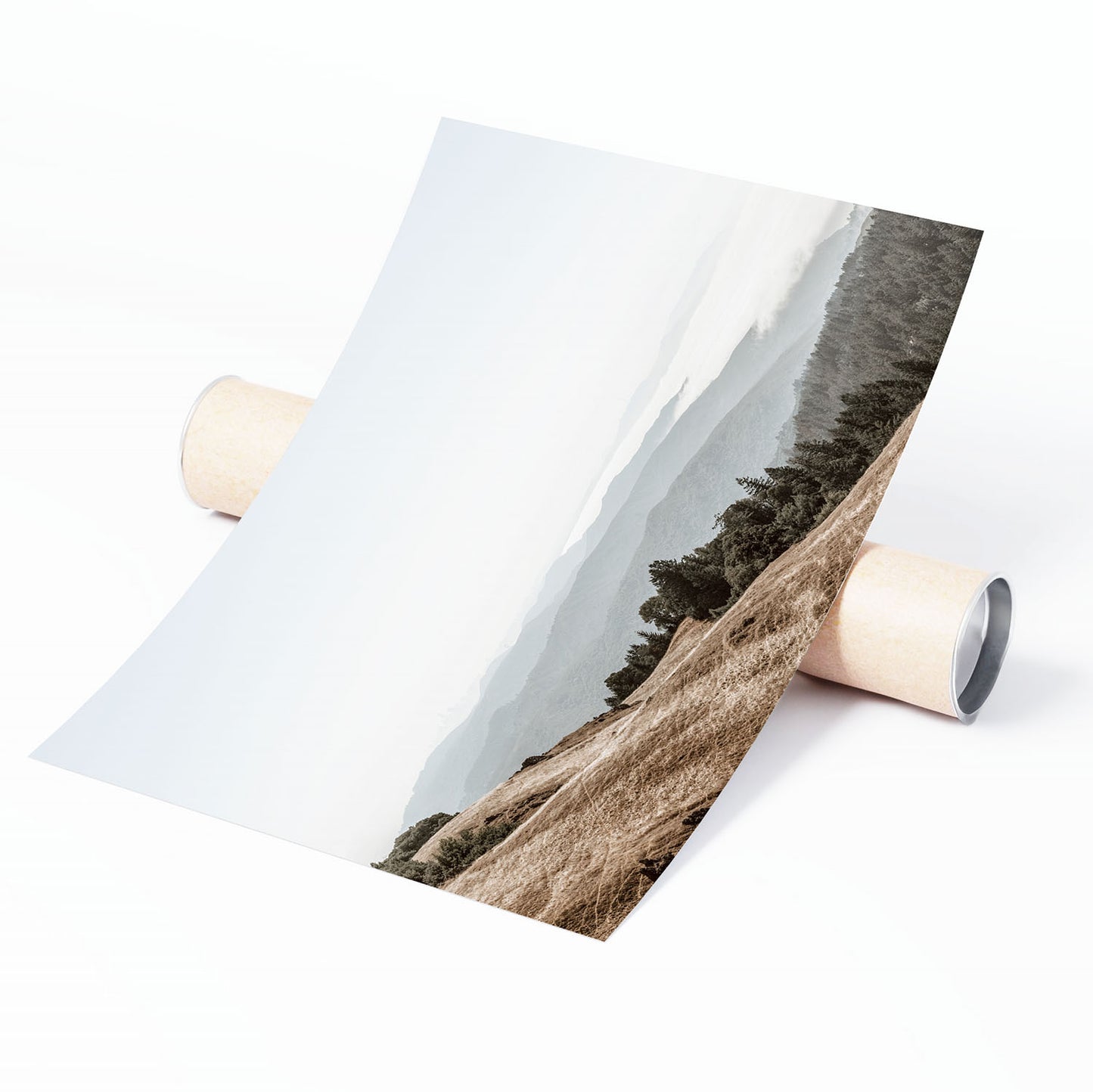 MOUNT TAMALPAIS