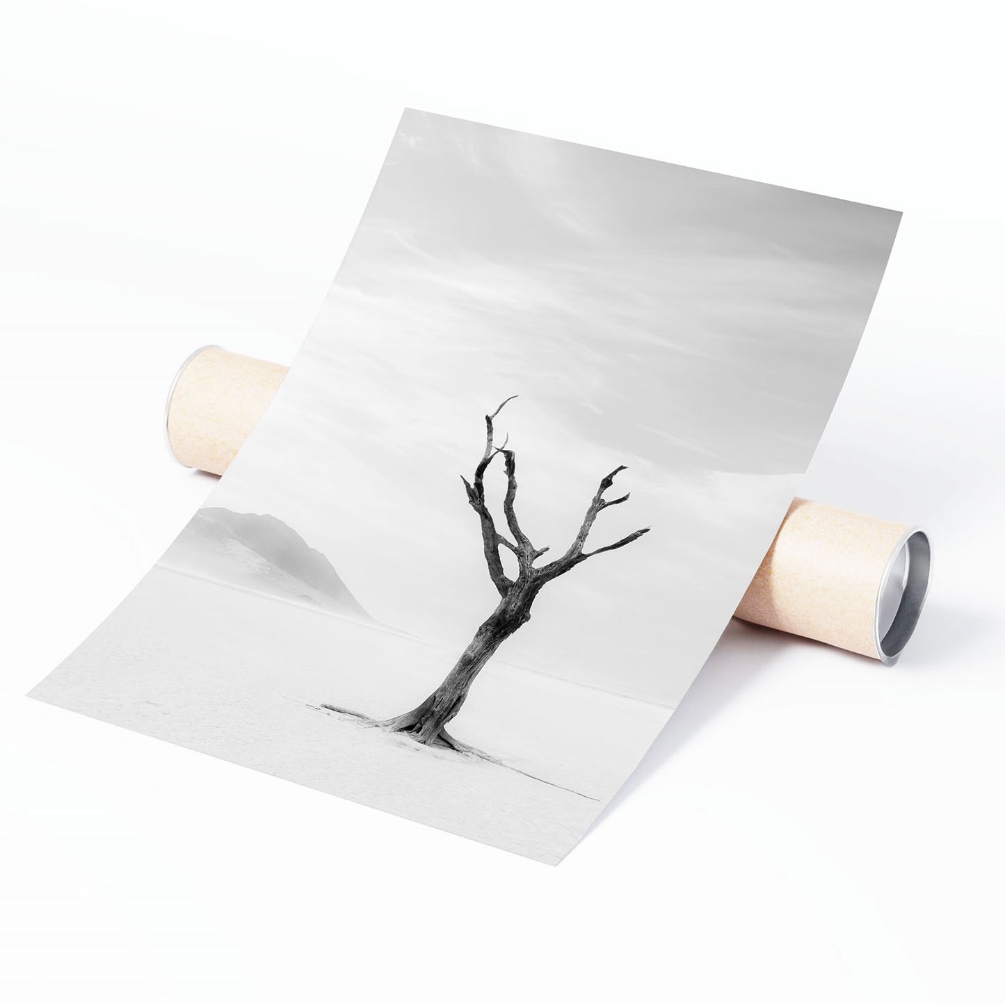 LONE TREE