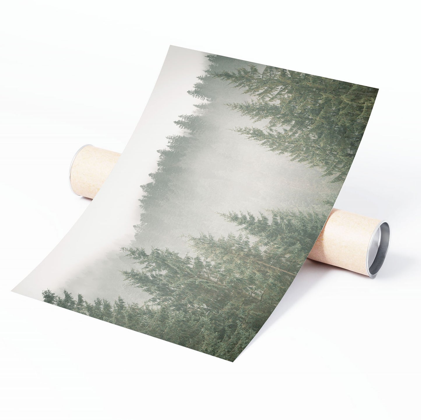 FOGGY PINES