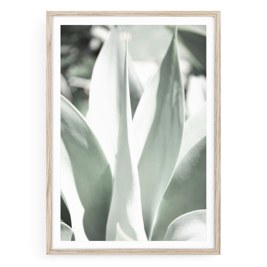 Minimalist botanical print of pale green agave leaves, desert-inspired wall art for neutral interiors, modern nature photography for home or office decor.