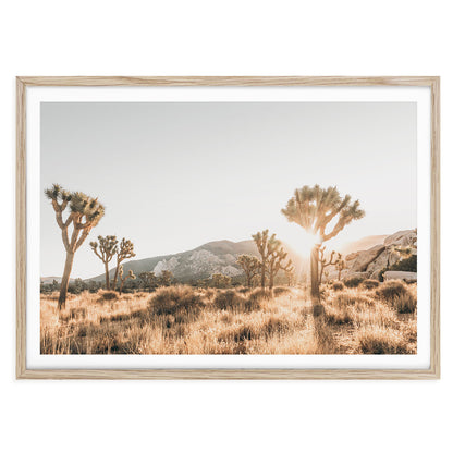 Framed and unframed Joshua Tree desert photography wall art featuring minimalist California landscape in warm neutral tones for modern boho decor