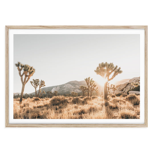 Framed and unframed Joshua Tree desert photography wall art featuring minimalist California landscape in warm neutral tones for modern boho decor