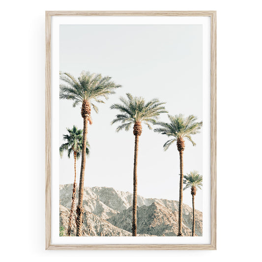 Vertical fine art photo of tall palm trees in Palm Springs under clear skies. Minimalist desert landscape with modern, airy style for wall decor.