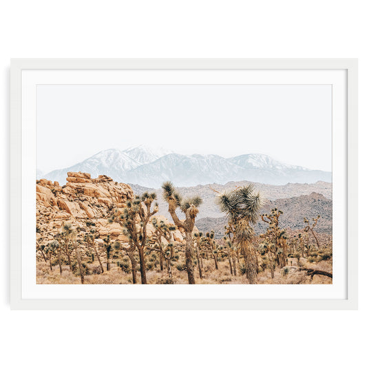 Joshua Tree desert landscape fine art photo print, framed western national park wall art for serene and grounded home decor.