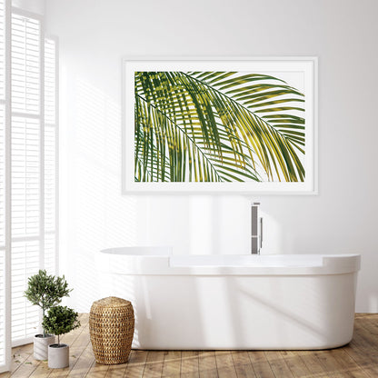 TROPIC CALM