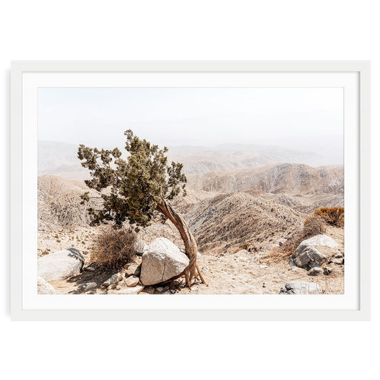 Neutral-toned Joshua Tree landscape in desert light, minimalist boho fine art print for beige wall decor or modern rustic interiors.