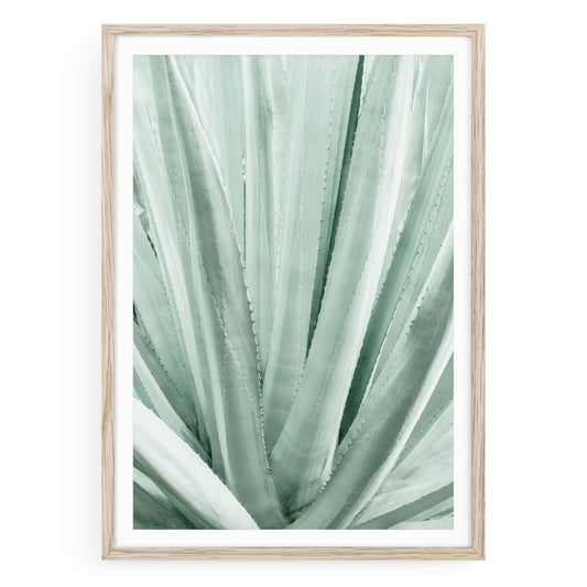 Mint green agave plant fine art print featuring desert botanical texture, tequila-inspired southwestern wall decor, framed or unframed neutral artwork