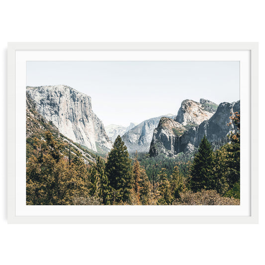 Yosemite National Park forest landscape fine art print with trees and soft mountain tones. Calming natural wall art perfect for peaceful earthy interiors.