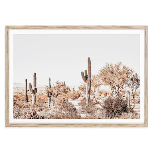 Fine art photo of Arizona desert cactus landscape in warm tones, boho southwestern wall decor for nature-inspired or neutral modern interiors.