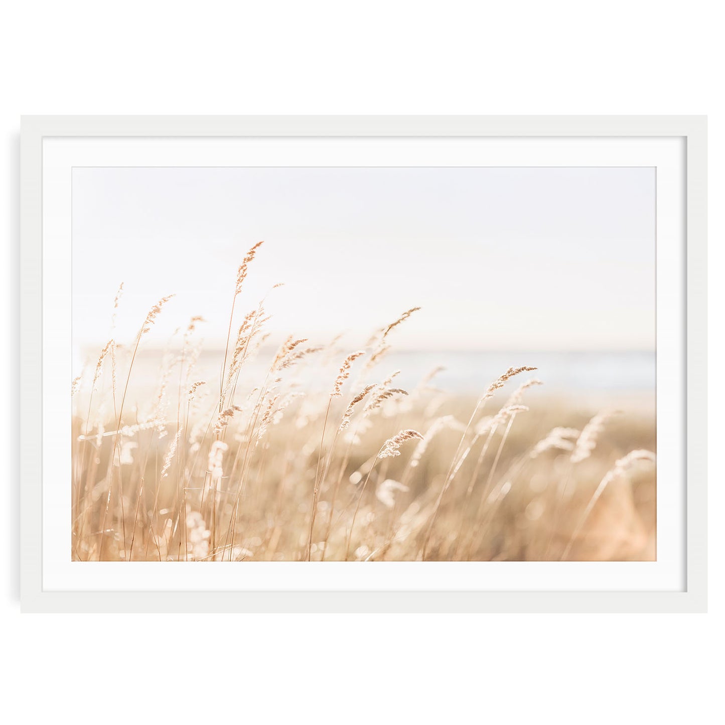 Fine art photo print of neutral coastal beach grass in soft light with sand dunes and sky in the background, minimal wall decor for beach or boho interiors