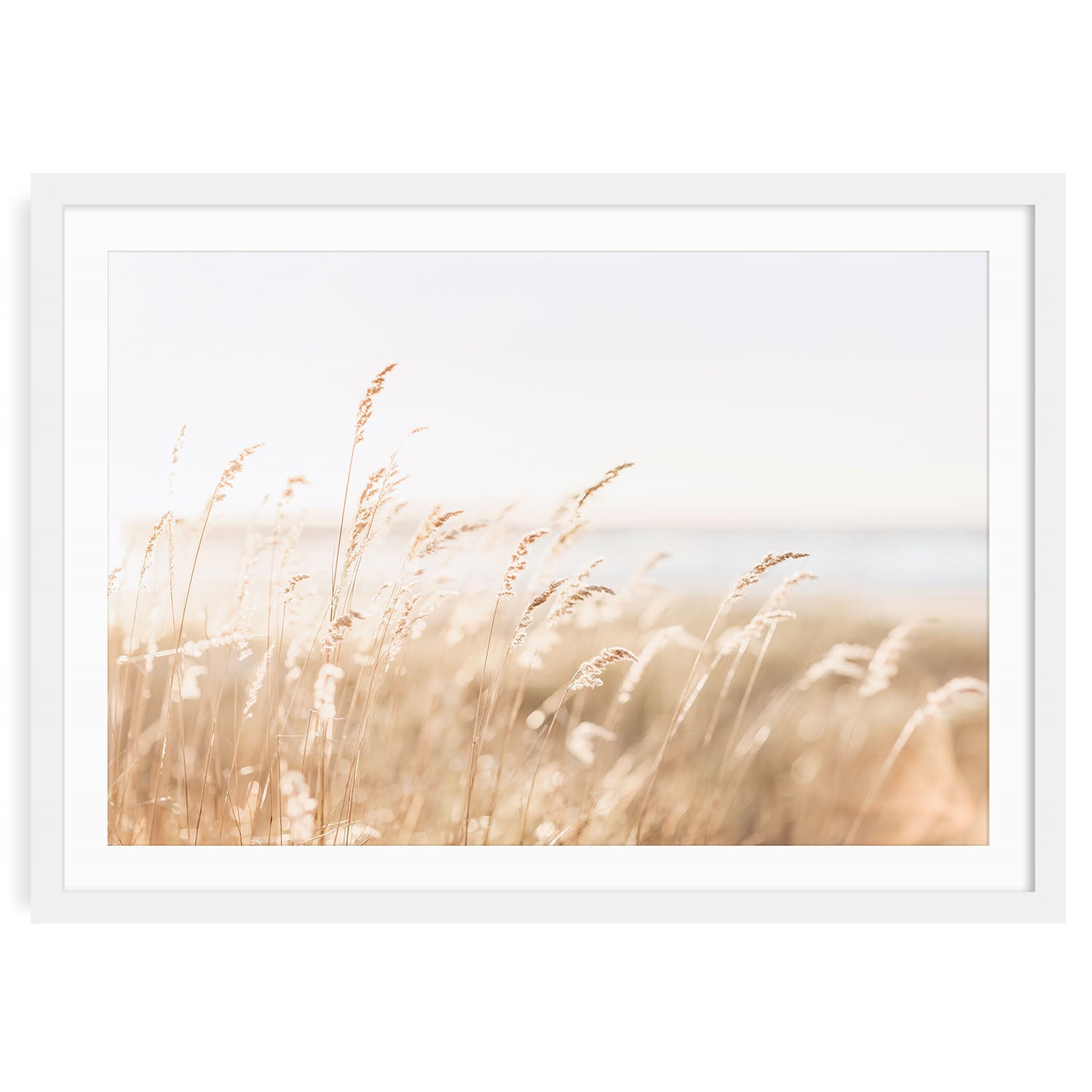 Fine art photo print of neutral coastal beach grass in soft light with sand dunes and sky in the background, minimal wall decor for beach or boho interiors