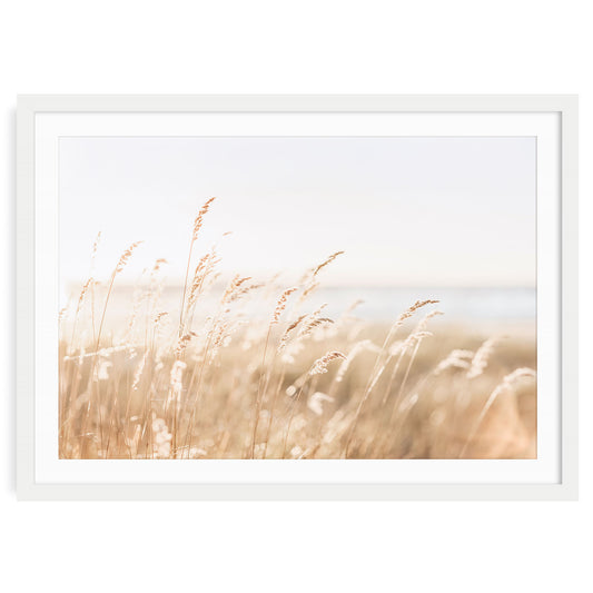 Fine art photo print of neutral coastal beach grass in soft light with sand dunes and sky in the background, minimal wall decor for beach or boho interiors