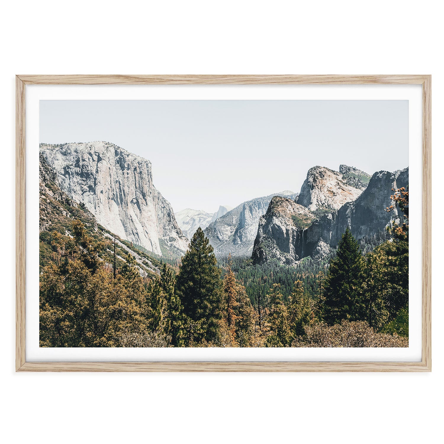 Yosemite National Park forest landscape fine art print with trees and soft mountain tones. Calming natural wall art perfect for peaceful earthy interiors.