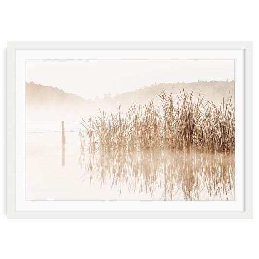 Fine art photography print of beige water reeds by a calm lake, featuring neutral tones and soft light. Perfect for minimalist, nature-inspired home decor.