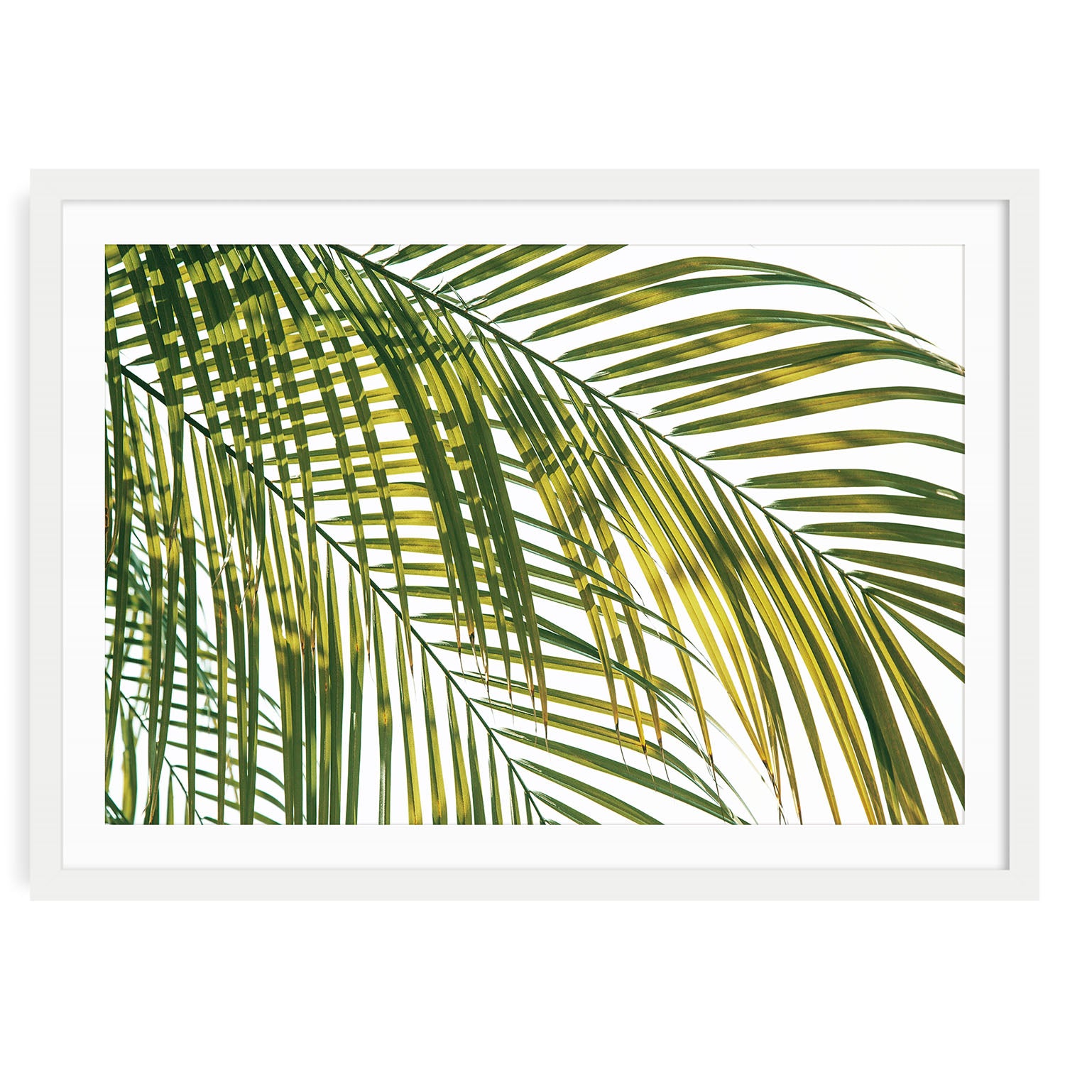 Sunlit Tropical Palm Leaves Fine Art Print In Soft Abstract Green Layers