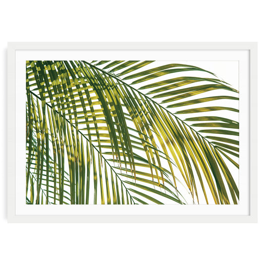 Sunlit Tropical Palm Leaves Fine Art Print In Soft Abstract Green Layers