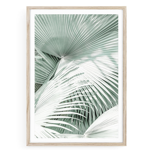 Framed boho palm tree wall art featuring soft mint green tones and tropical foliage in a minimalist coastal photography style, perfect for beach decor.