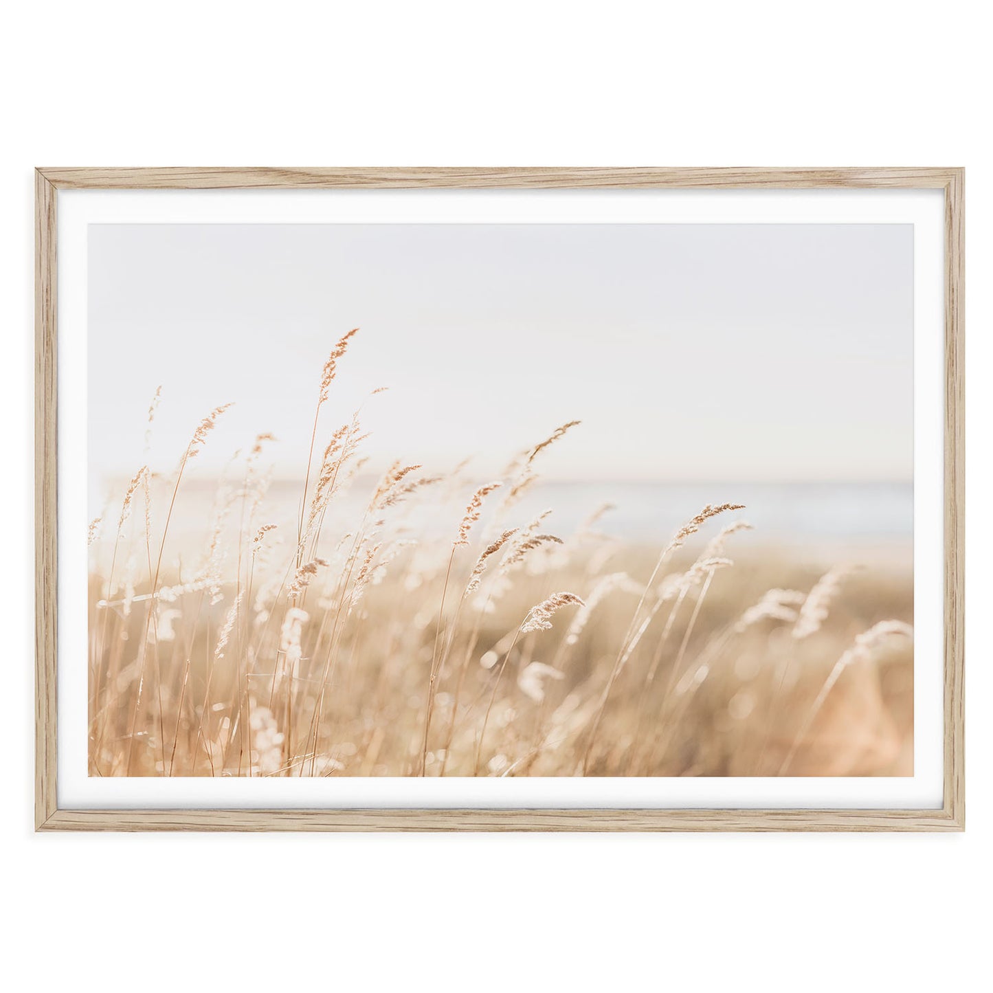 Fine art photo print of neutral coastal beach grass in soft light with sand dunes and sky in the background, minimal wall decor for beach or boho interiors