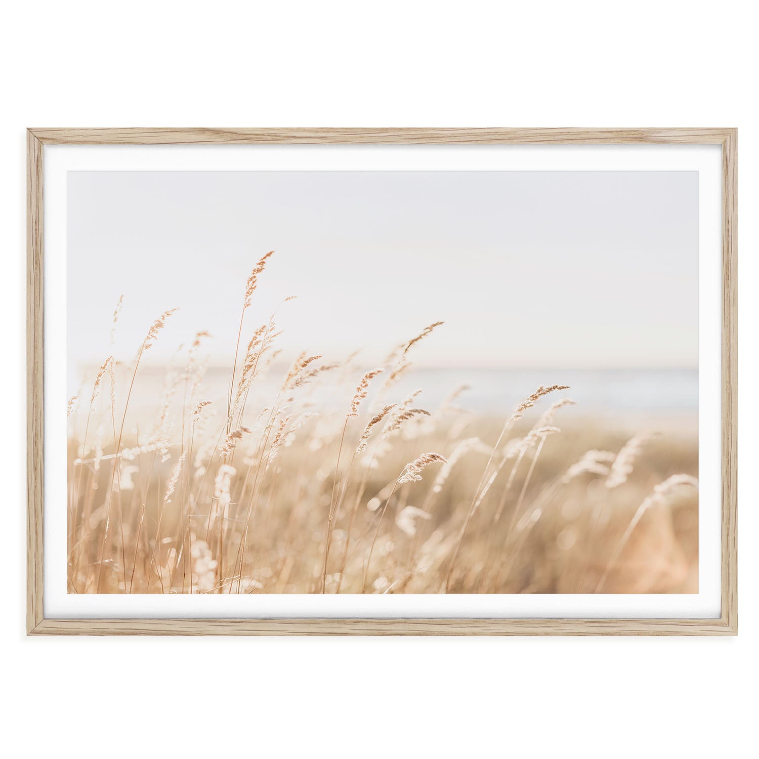 Fine art photo print of neutral coastal beach grass in soft light with sand dunes and sky in the background, minimal wall decor for beach or boho interiors