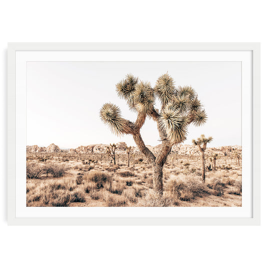 Fine art print of a Joshua Tree in a beige desert landscape with soft neutral tones, ideal for modern, minimalist, or southwestern-inspired interiors.